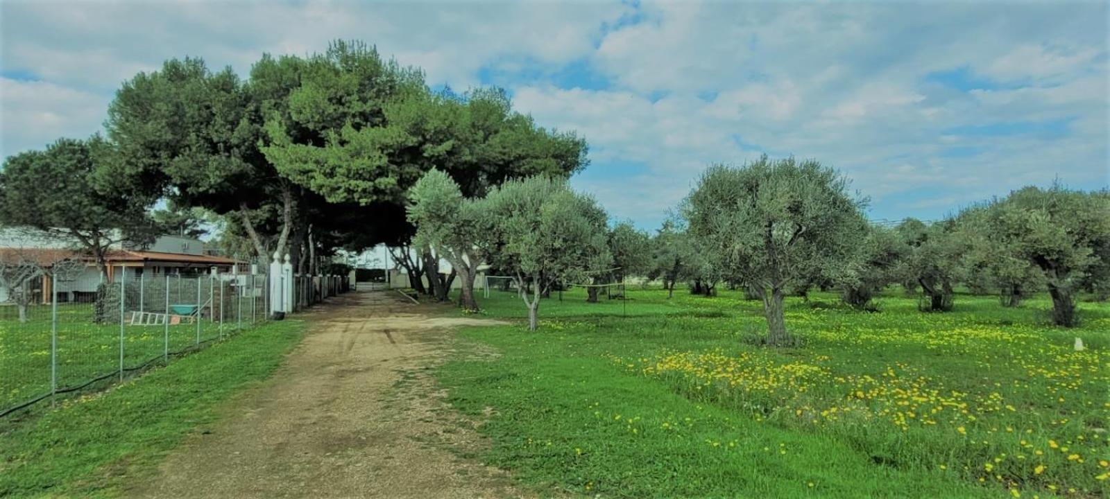Villa Laura Барі Екстер'єр фото