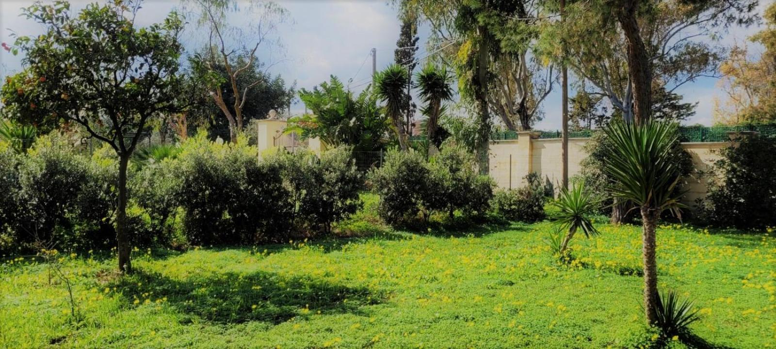 Villa Laura Барі Екстер'єр фото