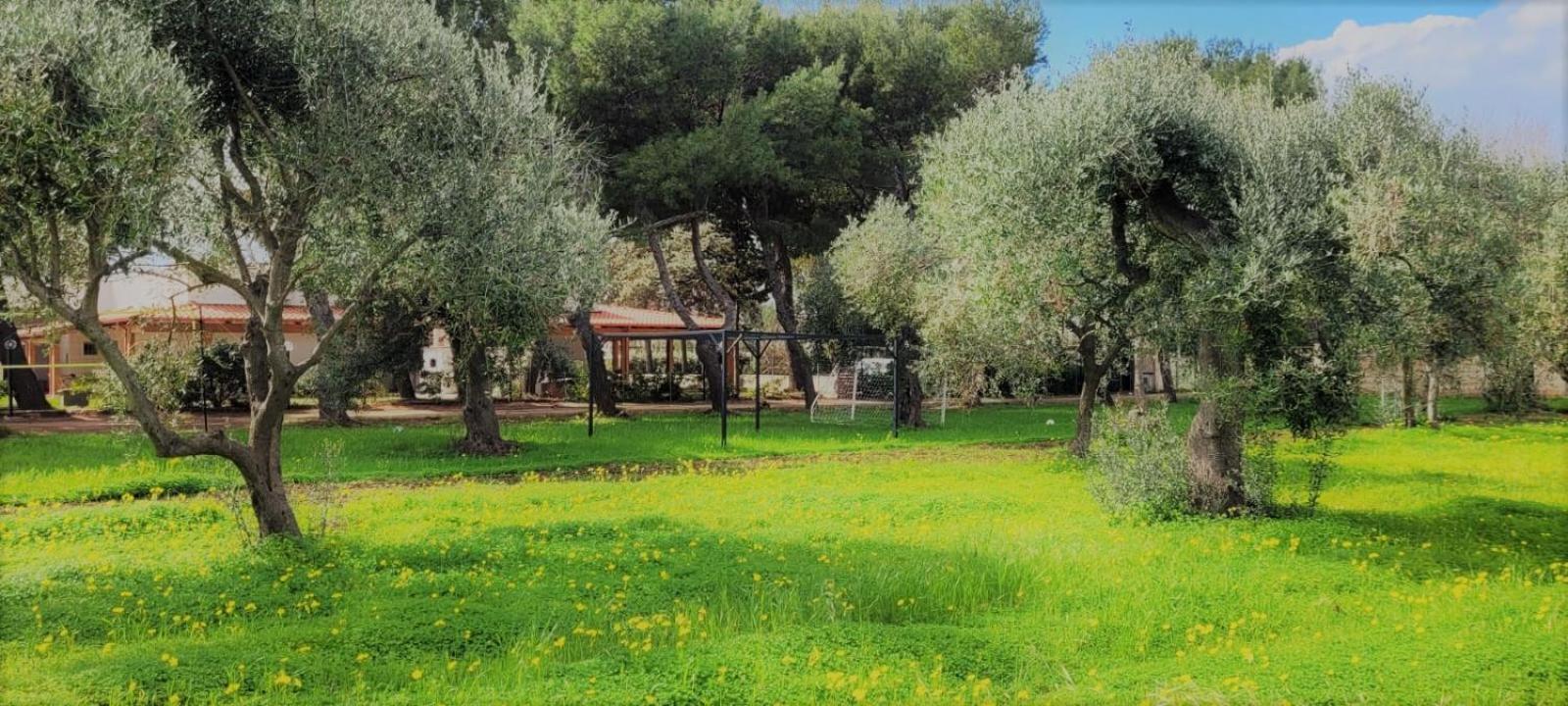 Villa Laura Барі Екстер'єр фото